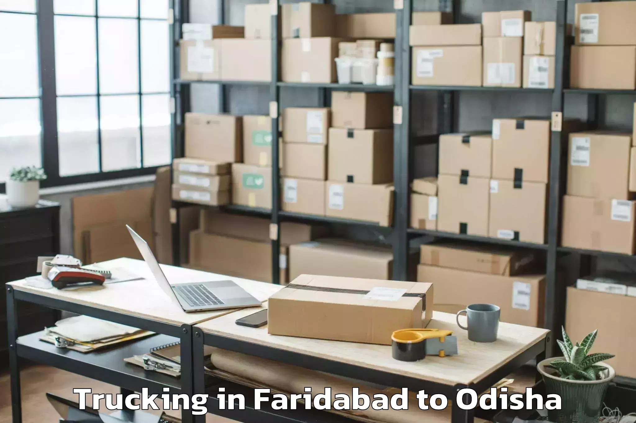 Leading Faridabad to Odagaon Trucking Provider